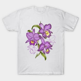 Hand drawn graphic art of orchid flowers. T-Shirt